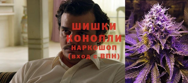 прущий лед Арсеньев
